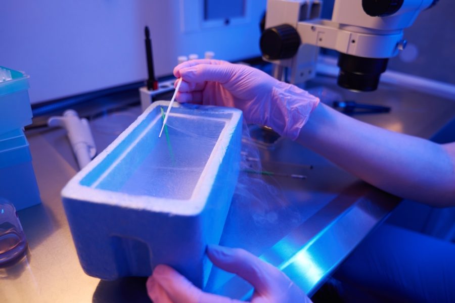 Egg and Embryo Freezing: Fertility Preservation Methods for the Future